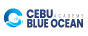 Cebu Blue Ocean Academy