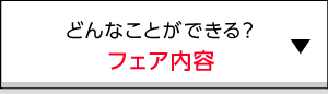 どんなことが出来る？フェア内容